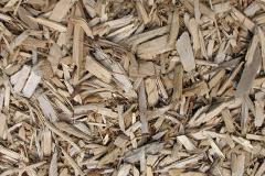 biomass boilers Brundish